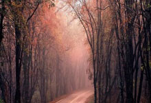 普尔24+9奇才再擒老鹰 班凯罗31+7魔术负公牛.