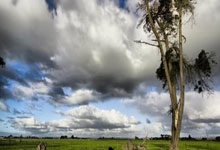 参加欧冠决赛后才上演荷兰队处子秀,马特森是95年范德萨之后首人.