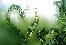 拉希德:76人球迷都受够了恩比德 后者马上就要被赶出费城了.