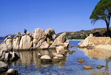 普尔24+9奇才再擒老鹰 班凯罗31+7魔术负公牛.